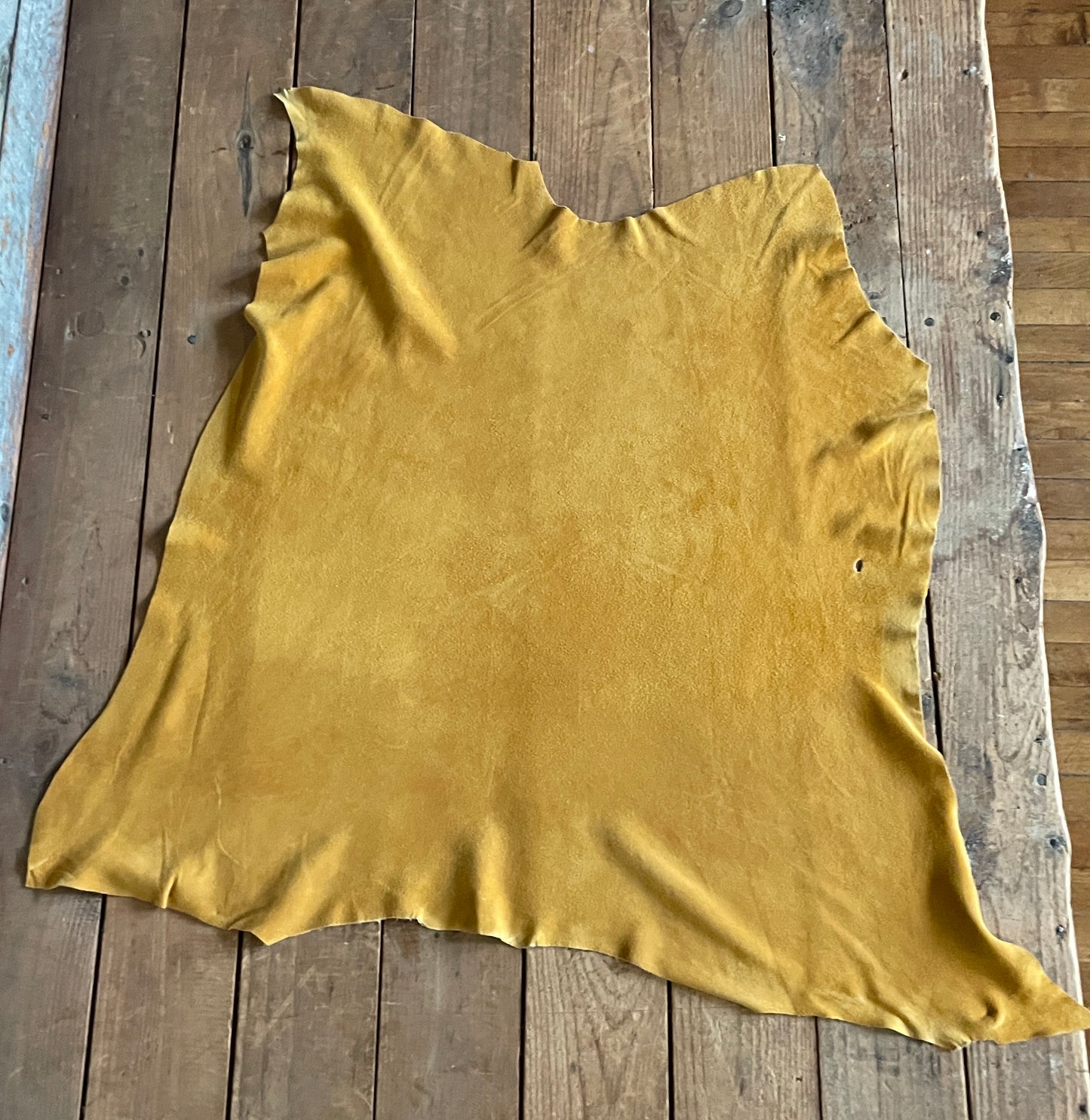 American Whitetail Deer Splits